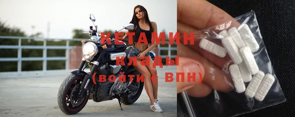 гашик Алексин