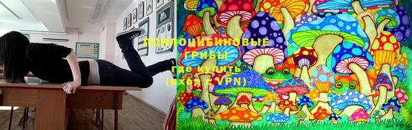 мдма Бердск