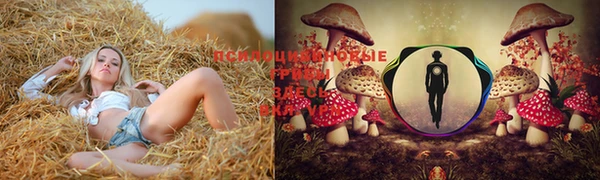мяу мяу мука Абинск