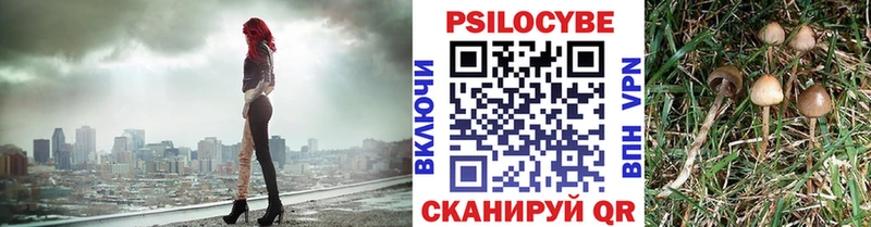 Галлюциногенные грибы Cubensis Костерёво