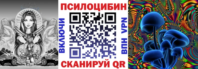 Галлюциногенные грибы Psilocybe  Костерёво 